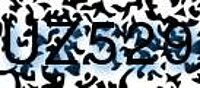 grafischer Sicherheitscode