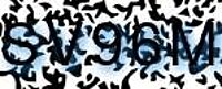grafischer Sicherheitscode