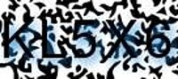 grafischer Sicherheitscode